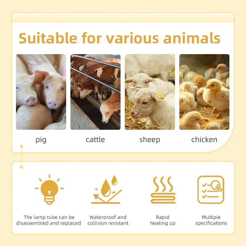 Poultry LED