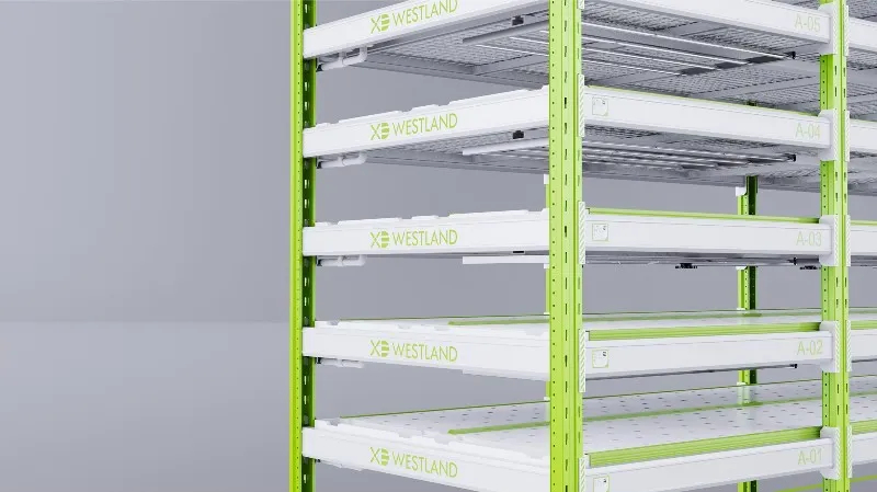 Vertical Farm