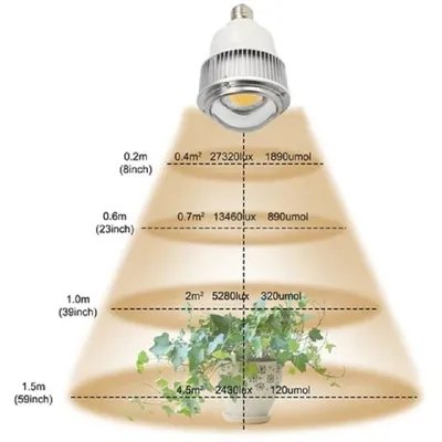 Research on LED Application in Plant Facility Cultivation
