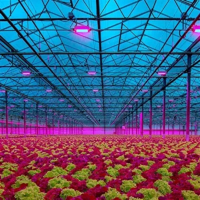 Greenhouse top LED lighting