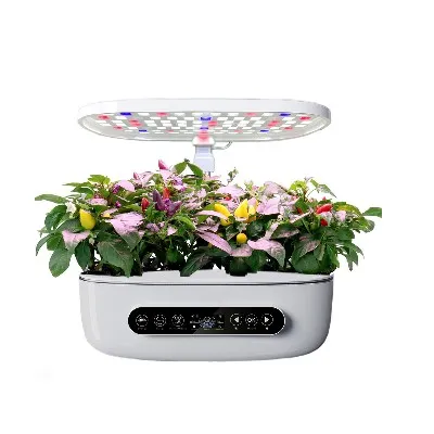 Indoor LED Hydroponic System