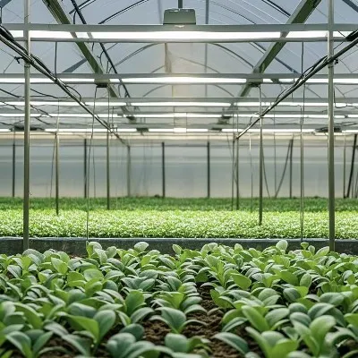 led grow lights for seedlings