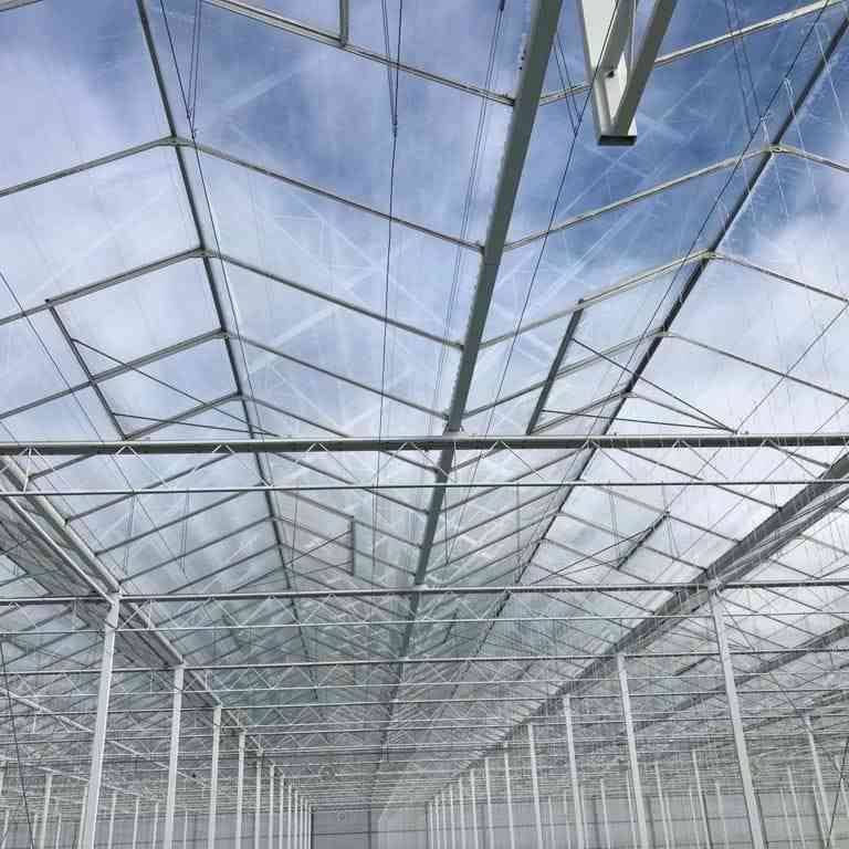 https://www.west-land.com/greenhouse-led-grow-lighting/greenhouse-top-led-lighting/greenhouse-1-1-hps-replace-led-grow-light-2.html https://www.west-land.com/greenhouse-led-grow-lighting/greenhouse-top-led-lighting/greenhouse-1-1-hps-replace-led-grow-light-2.html