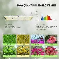 https://www.west-land.com/tent-light/tent-light-pro-200w.html https://www.west-land.com/tent-light/tent-light-pro-200w.html