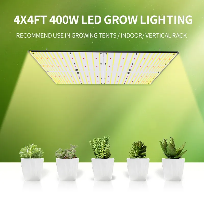 info-800-800 info-800-800