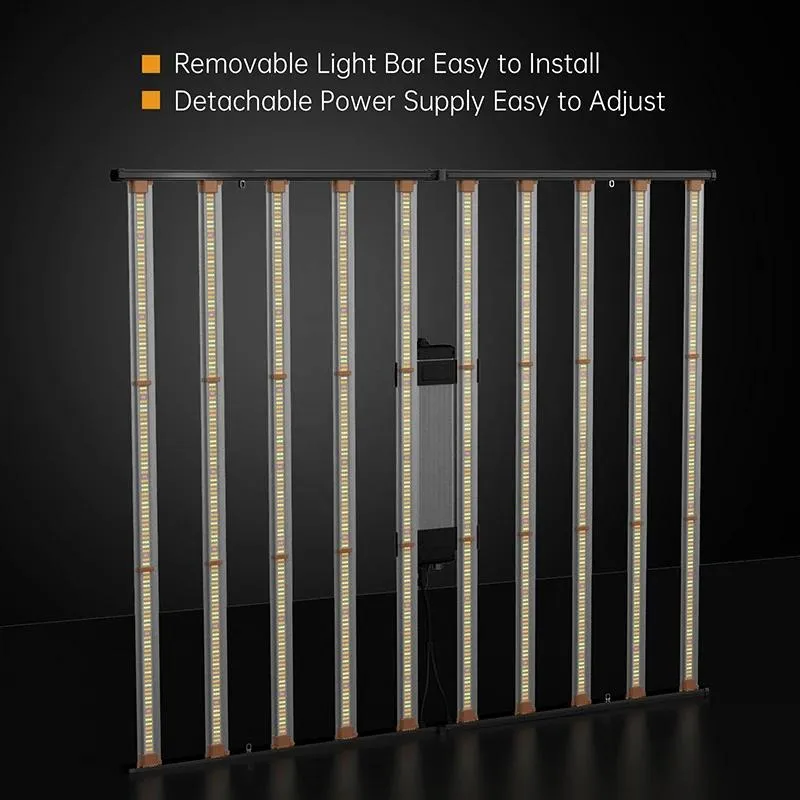 product-800-800
