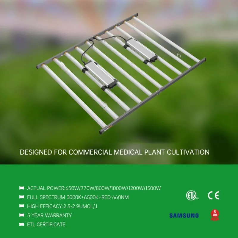 product-800-800 product-800-800