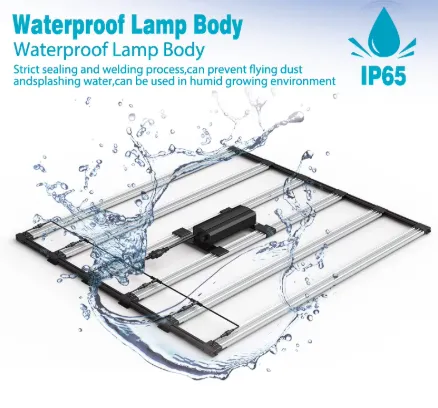 product-438-408 product-438-408