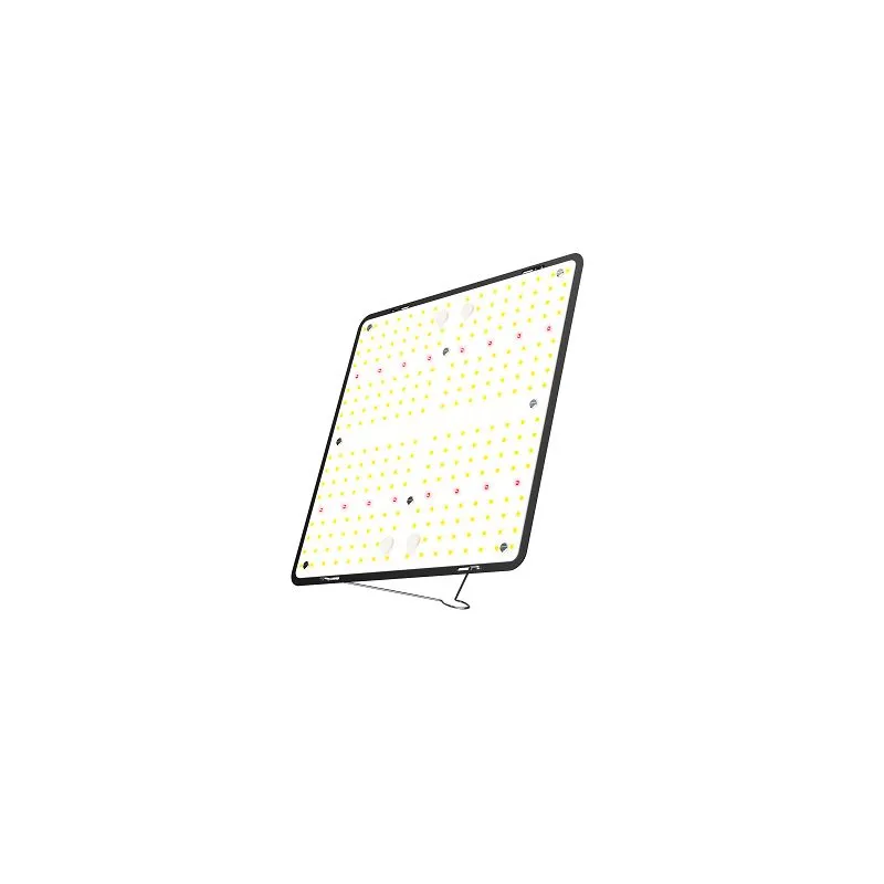 Tent Light Pro 100W