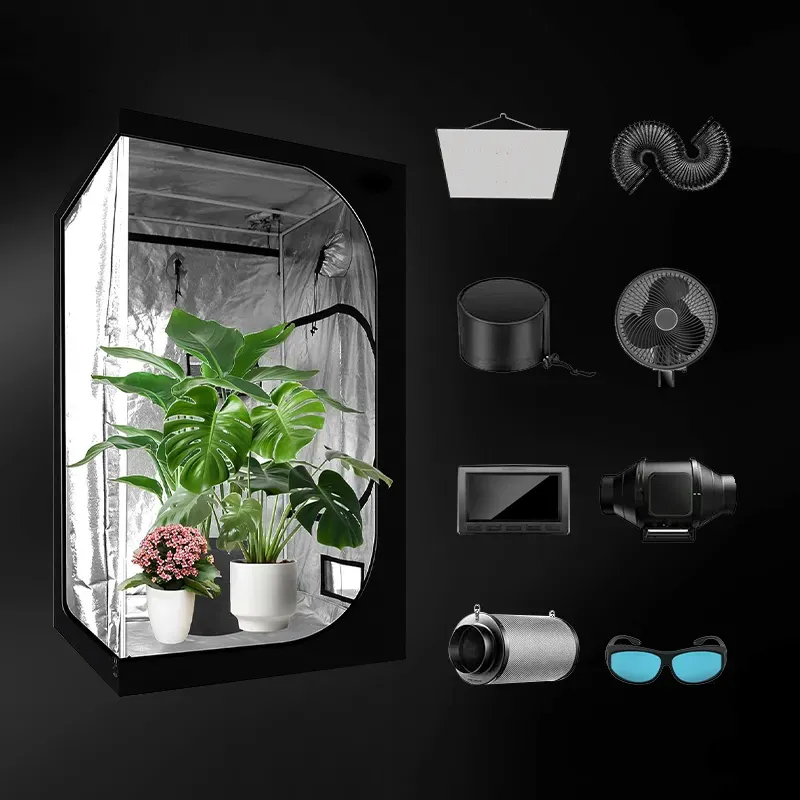 product-800-800