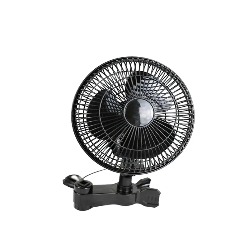 product-800-800