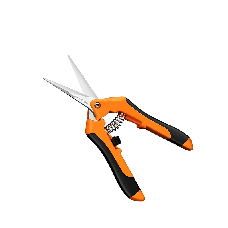 product-800-800