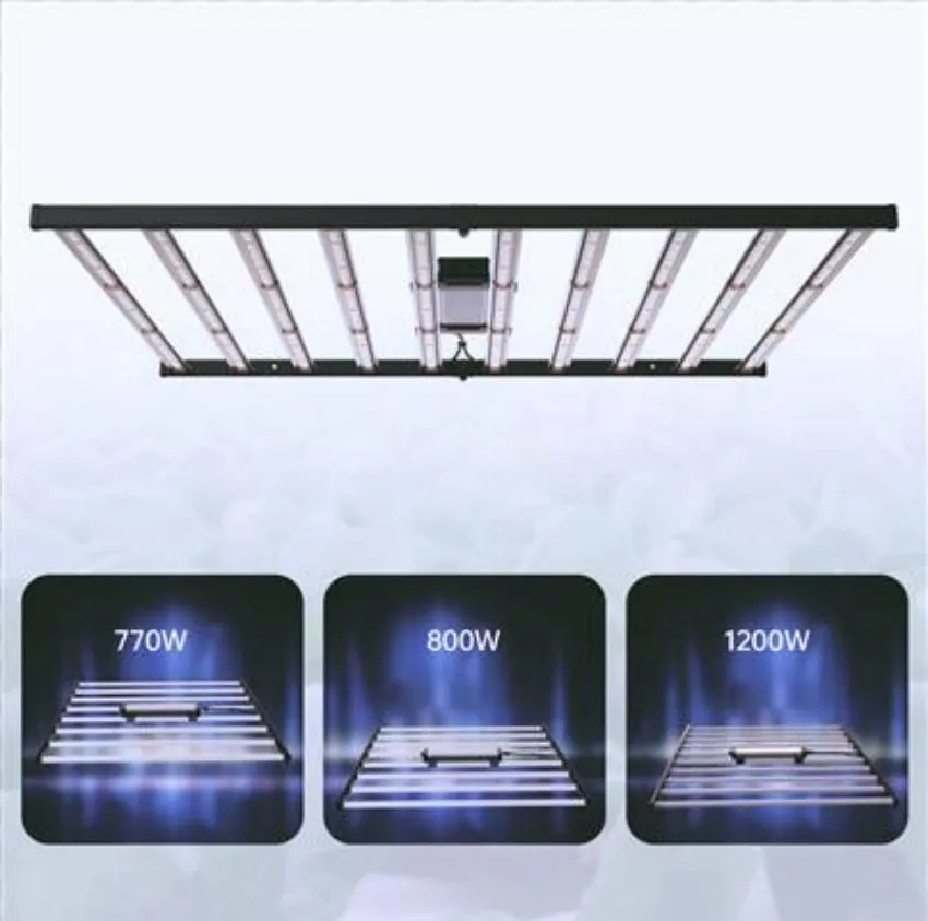 product-850-843 product-850-843