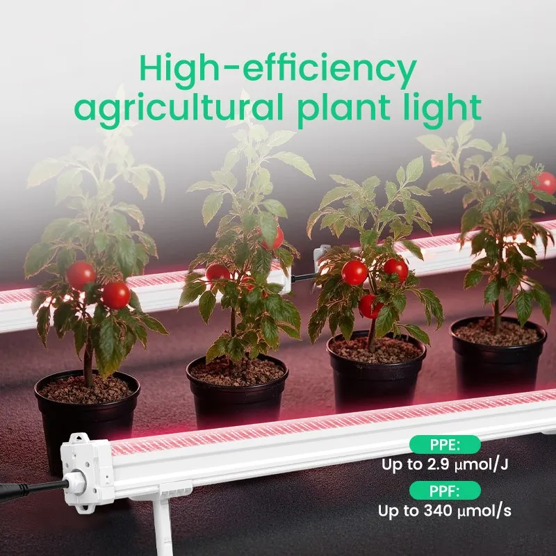 product-800-800 product-800-800