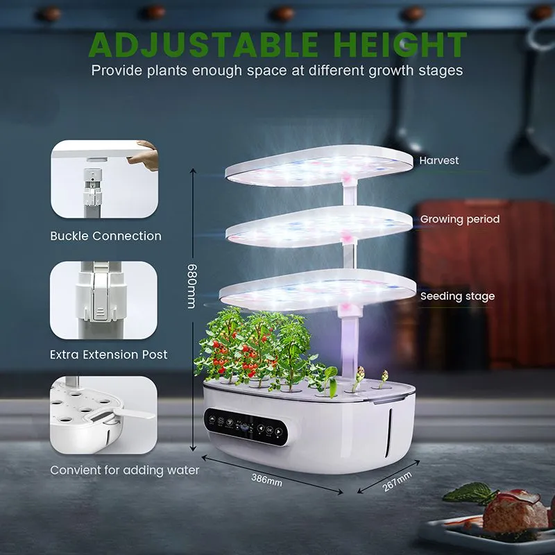 product-800-800