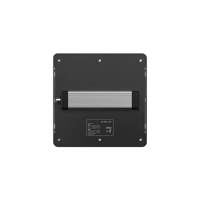 Quantum Board Amazon Bestseller