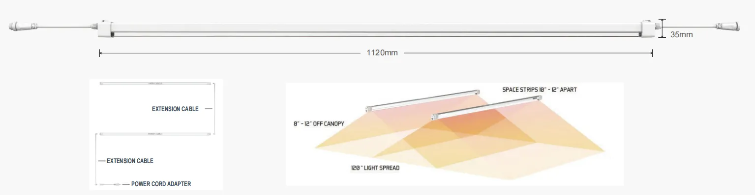 product-1535-398 product-1535-398