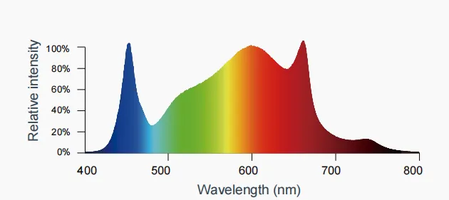 Do LED Grow Lights Emit UV？ Here’s the Complete Answer